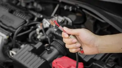 Electricity wire in a customer's car damaged by rat bite at our auto repair shop in Mays Landing, NJ